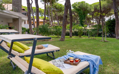 La Villa in Pineta 10: Mueble, Mueble Para Exteriores, Sombra, Jardín, Ocio, Césped, Silla, Sunlounger, Mesa Al Aire Libre, Yarda