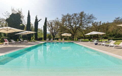 Tenuta Esdra 20: Piscina, Árbol, Recurso, Mueble Para Exteriores, Jardín, Sombra, Paisajismo, Eco Hotel, Inmuebles, Césped