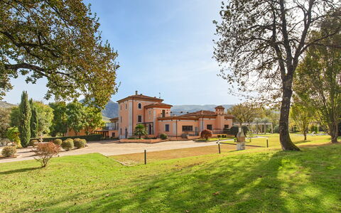 Tenuta Esdra 20: Arbusto, Inmuebles, Jardín, Hacienda, Paisajismo, Césped, Yarda, Villa, Mansión