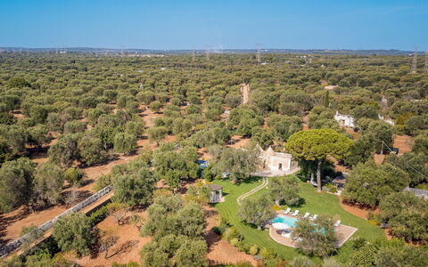 Trulli Biancapetra 8+2: Árbol, Naturaleza, Entorno Natural, Vegetación, Paisaje, El Terreno Del Lote, Vista Panorámica, Llanura, Fotografía Aérea