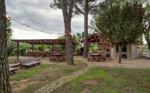 Podere Giardino 16+2: Árbol, Madera, Mueble, Sombra, Mesa Al Aire Libre, Mueble Para Exteriores, El Maletero, Mesa De Picnic, Banco, Estructura Al Aire Libre