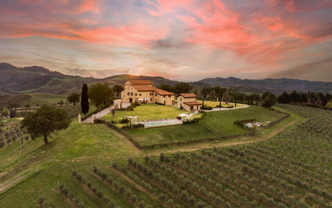 Santa Maria Maddalena 10: Vino, Agricultura, Botella, Comida, Barware, Botella De Vidrio