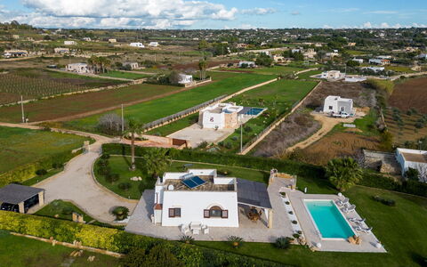 Villa Serena 4: Piscina, Inmuebles, Paisajismo, Hacienda, Jardín, Césped, Villa, Recurso, Eco Hotel, Mansión
