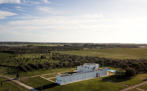 Masseria Samali 14+4: Tiempo De Día, Hierba, Llanura, Paisaje, Pradera, El Terreno Del Lote, Área Rural, Inmuebles, Campo, Prado