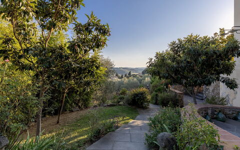 Villa Treggiaia 12+2: Vegetación, Arbusto, Paisaje, Planta De La Comunidad, Jardín, Luz De Sol, Paisajismo, Jardín Botánico, Chaparral