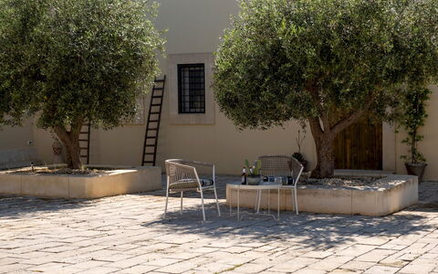 Dimora degli Ulivi 10: Sombra, Jardín, Losa, Plantas Leñosas, Maceta, Hormigón, Patio, Paisajismo, Ladrillo, Diseño