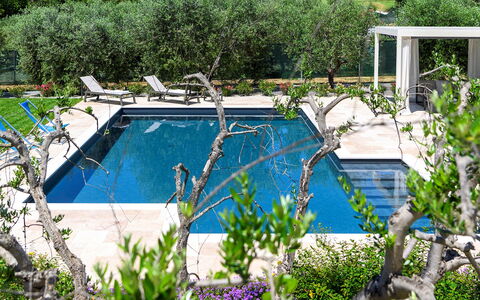 Villino le Moie 4+2: Piscina, Jardín, Sombra, Recurso, Ocio, Fuente De Agua, Paisajismo, Mueble Para Exteriores, Patio Interior, Eco Hotel