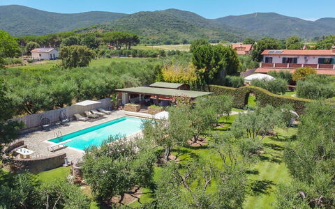 Villa Castiglione 9: Recurso, Piscina, Eco Hotel, Jardín, Hacienda, Inmuebles, Casa De Campo, Paisajismo, Sombra, Villa