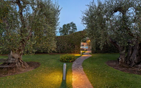 Villa Castiglione 9: Hoja, Hierba, Naturaleza, Rama, Arbusto, Jardín, Paisaje, El Maletero, Césped, La Iluminación Del Paisaje