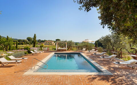 Antico Ceraso 10: Piscina, Recurso, Inmuebles, Jardín, Hacienda, Eco Hotel, Paisajismo, Mueble Para Exteriores, Sunlounger, Villa