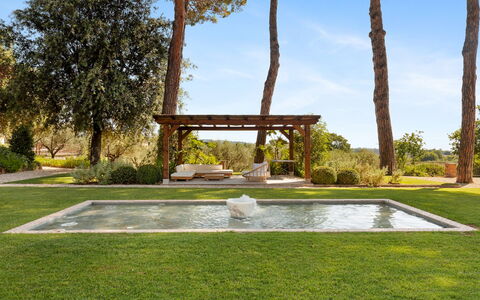 Antico Ceraso 10: Árbol, Jardín, Arbusto, El Terreno Del Lote, Sombra, Paisajismo, Césped, Piscina, Patio Interior