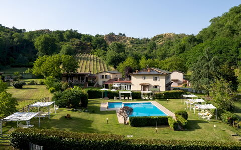 Valleverde 28+2: Comida, Plantación, Patio Interior