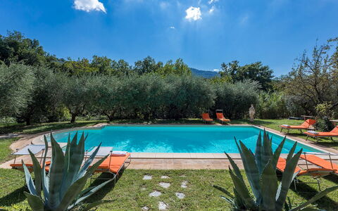 Casa Pippin 8: Piscina, Hacienda, Recurso, Jardín, Inmuebles, Eco Hotel, Casa De Campo, Paisajismo, Patio Interior, Yarda