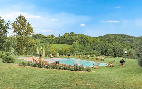 Il Cerreto 11: Árbol, Vegetación, Paisaje Natural, Paisaje, Arbusto, El Terreno Del Lote, Piscina, Jardín, Plantación, Eco Hotel