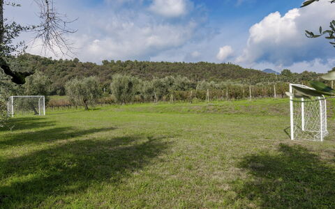 Tenuta Navelli 12+2: Hierba, Árbol, Pradera, El Terreno Del Lote, Llanura, Prado, Pasto, Césped, Campo