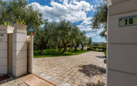 Villa Mandara 8+2: Arbusto, Jardín, Sombra, Paisajismo, Pasarela, Parque, Patio Interior