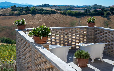 La Buona Maniera 10: Pared, Maceta, Mueble Para Exteriores, Planta De Casa, Balcón, Silla, Mesa Al Aire Libre, Sombra, Yarda, Patio Interior