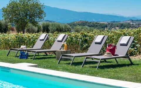 La Buona Maniera 10: Mueble Para Exteriores, Sunlounger, Jardín, Césped, Sombra, Piscina, Recurso, Yarda, Paisajismo, Sillón