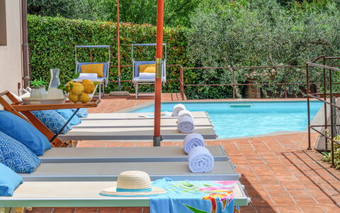 Villa Jasmine 8: Piscina, Mueble, Mueble Para Exteriores, Recurso, Maceta, Eco Hotel, Planta De Casa, Silla, Sunlounger, Sombra