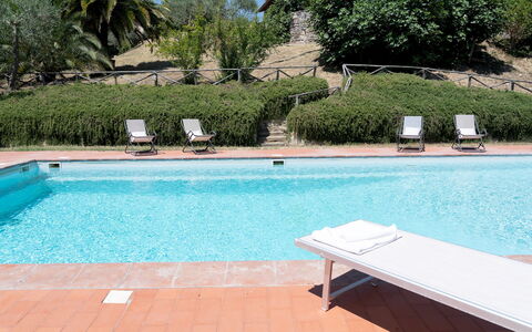 Villa la Pizzichina 10: Piscina, Recurso, Mueble Para Exteriores, Mueble, Sunlounger, Eco Hotel, Ocio, Sombra, Thermae, Hotel