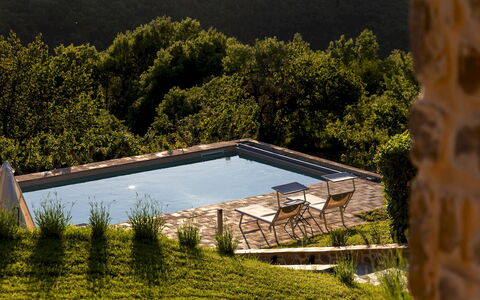 Poggio delle Lumie 6: Piscina, Mueble Para Exteriores, Jardín, Sunlounger, Paisajismo, Patio Interior, Eco Hotel, Sillón, Casa De Campo, Villa