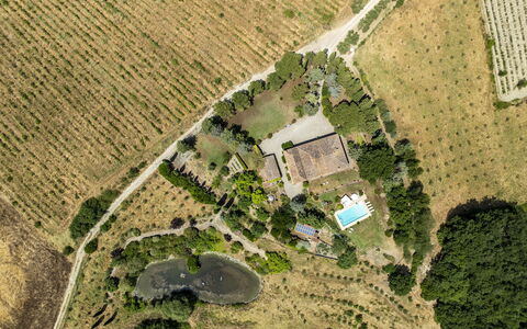 Podere Casanovina 12: Árbol, Paisaje, Vista Panorámica, Barrio Residencial, Fotografía Aérea, Área Rural, Piscina, Inmuebles, Plantación, Paisajismo