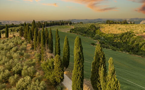 Podere Casanovina 12: Paisaje Natural, Paisaje, Llanura, El Terreno Del Lote, Plantación, Campo, Prado, Paisajismo