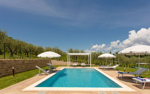La Collina degli Ulivi 8+2
