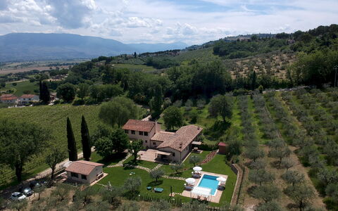 La Collina degli Ulivi 8+2: Comida, Plantación, Agricultura, Inmuebles, Vista Panorámica, Casa De Campo, Pueblo De Montaña, Fotografía Aérea, Granja