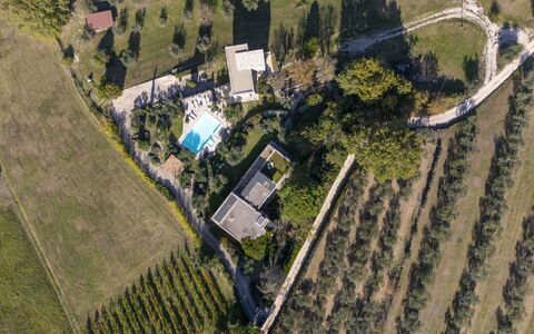 Brightline Villa 8: Árbol, Barrio Residencial, Vista Panorámica, Paisaje, Piscina, Fotografía Aérea, Diseño Urbano, Inmuebles, Paisajismo, Suburbio