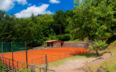 Villa Arbeio 8+6: Árbol, Parque, Red