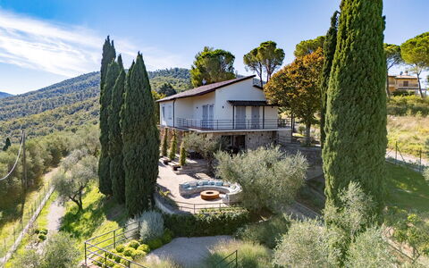 Casa dei Fiamminghi 10+2: Árbol, Vegetación, Arbusto, Planta De La Comunidad, Jardín, Inmuebles, Paisajismo, Casa De Campo, Hojas Perennes