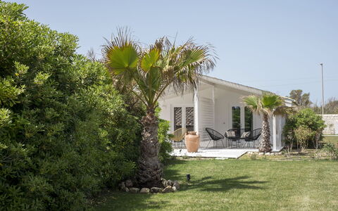 Baia L'Aura 8: Arbusto, Casa, Casa, Cabaña, Jardín, Sombra, Paisajismo, Plantas Leñosas, Inmuebles