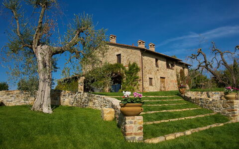 Terra San Raffaele 10+3