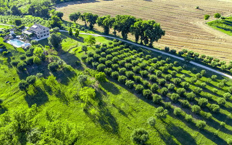 Casa Sant'Elia 7+3: Paisaje, Área Rural, Llanura, El Terreno Del Lote, Agricultura, Plantación, Campo, Hill Station, Prado, Granja
