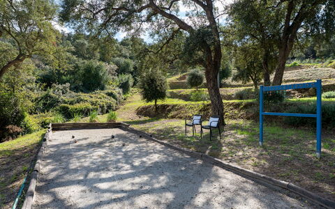 Villa Perelle 8: Árbol, Espacio Publico, Recreación, Ocio, Sombra, Parque, Suelo, Sendero, Bosque