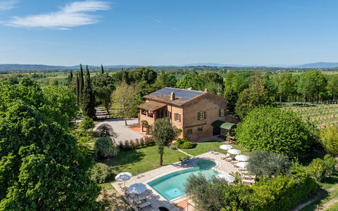 Sangiovese 14