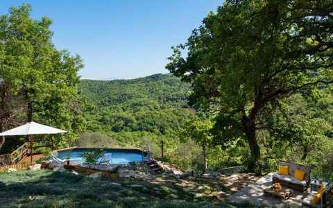 Cottage Dolcevista 4+2: Árbol, Piscina, Bosque, Ocio, Jardín, Sombra, Eco Hotel, Selva, Vacaciones