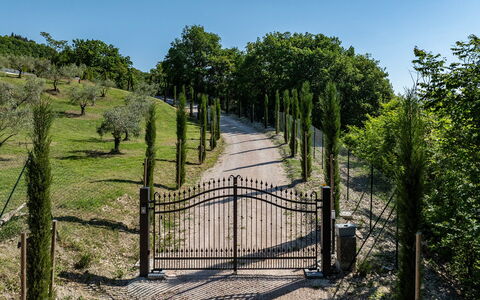 Villa Mamon 6+2: Arbusto, Portón, Cerca, Jardín, Sendero, Paisajismo, Pasarela, Inicio De Esgrima, Entrada De Coches, Parque