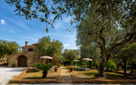 Casale le Lupe Apartments: Jardín, Inmuebles, Hacienda, Paisajismo, Casa De Campo, Yarda, Villa, Sombra, Patio Interior, Entrada De Coches