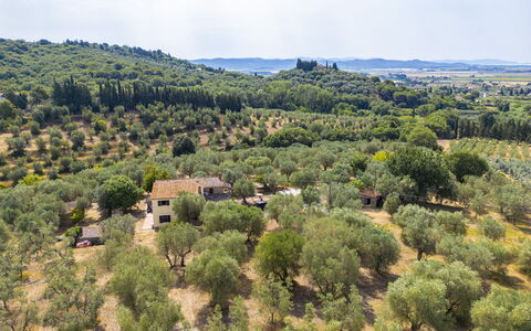 Casale le Lupe Apartments: Árbol, Vegetación, Paisaje, Área Rural, Planta De La Comunidad, El Terreno Del Lote, Pradera, Llanura, Plantación, Campo