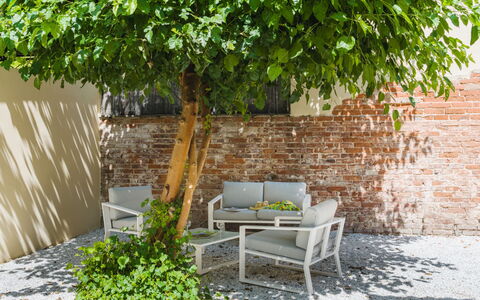 Contemporary House: Hoja, Mueble Para Exteriores, Mueble, Arbusto, Jardín, Sombra, Primavera, Silla, Patio Interior