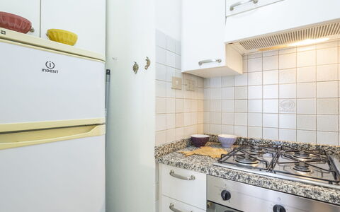 Nautilus: Electrodoméstico, Piso, Diseño De Interiores, Suelo, Habitación, Cocina, Aparato De Cocina, Casa, Gabinetes, Mostrador