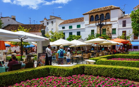 La Quinta Hills: Espacio Publico, Jardín, Uso Mixto, Ocio, Paisajismo, Vacaciones, Jardín Botánico, Plaza De La Ciudad, Paraguas