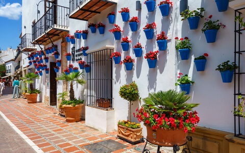 La Quinta Hills: Maceta, Planta De Casa, Floristas, Balcón, Diseño Floral, Florero, Patio