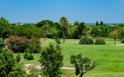 Oliva Nova Cabagua: Árbol, Arbusto, Paisaje, El Terreno Del Lote, Pradera, Jardín, Césped, Paisajismo, Plantación