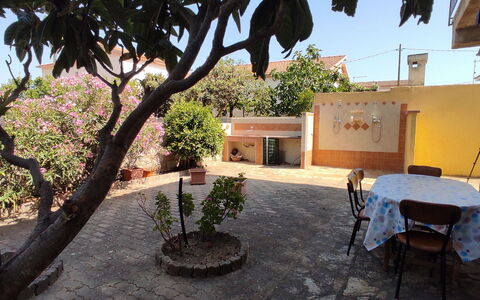 Casa Bianca, Budoni: Maceta, Sombra, Planta De Casa, Yarda, Hacienda, Patio, Balcón, Patio Interior
