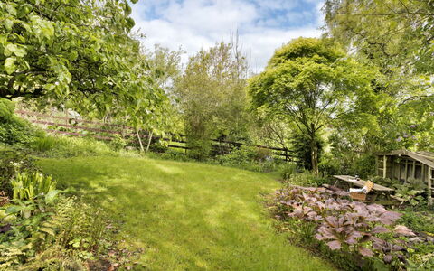 Bourne Edge: Hierba, Vegetación, Arbusto, Jardín, Planta De La Comunidad, Pradera, Cobertura Del Suelo, El Terreno Del Lote, Primavera