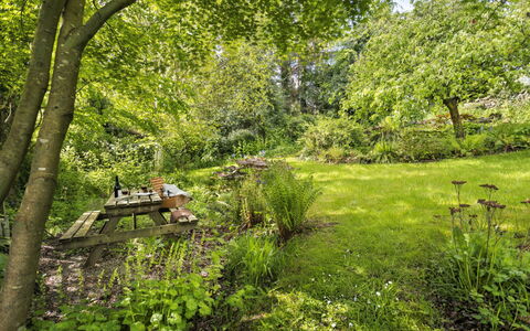 Bourne Edge: Verde, Árbol, Hoja, Naturaleza, Entorno Natural, Hierba, Rama, Vegetación, Paisaje Natural