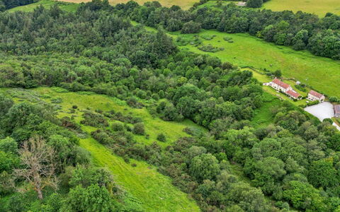 Mole End: Entorno Natural, Vegetación, Paisaje Natural, Vista Panorámica, Pradera, Ecorregión, Paisaje, Tierras Altas, El Terreno Del Lote, Bosque